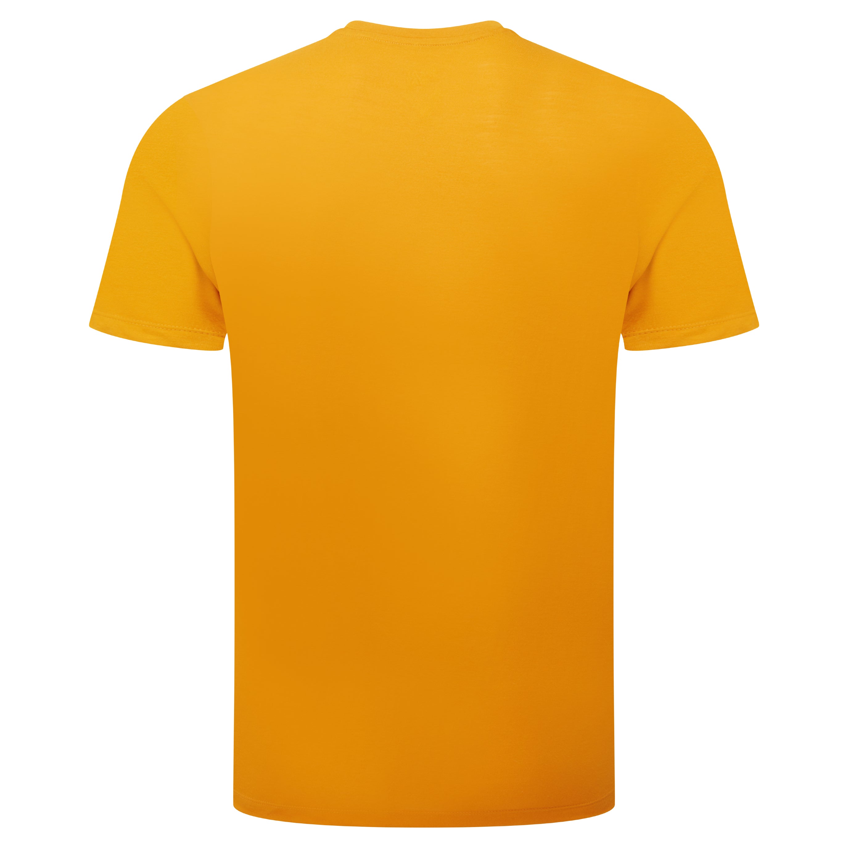 Vintage Mens Tee [SP-007875_STOCK]